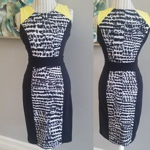 Calvin Klein Dress 